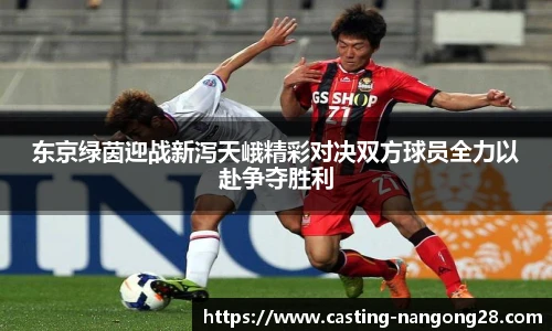 东京绿茵迎战新泻天峨精彩对决双方球员全力以赴争夺胜利